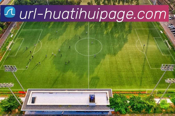 华体会体育平台生态图