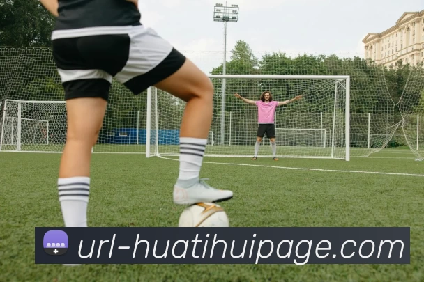 华体会体育APP 封面图